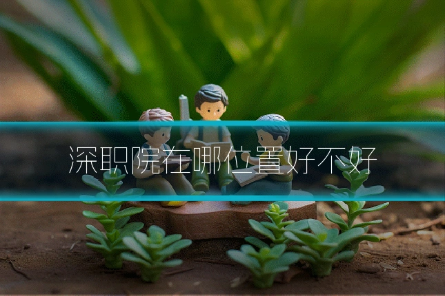 深职院在哪位置好不好