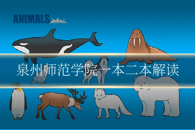 泉州师范学院一本二本解读