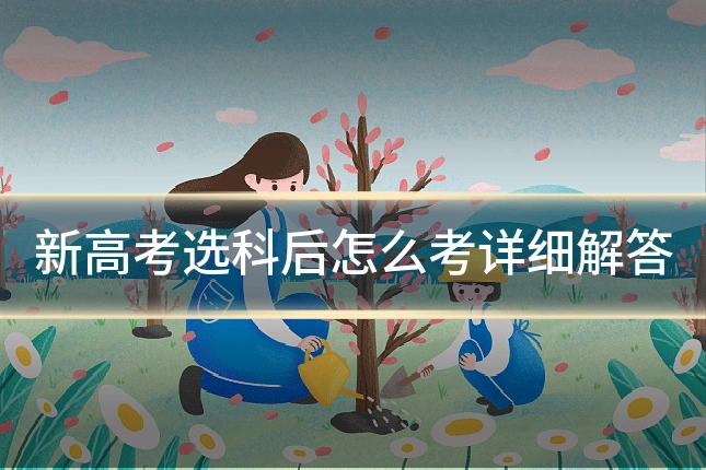 新高考选科后怎么考详细解答