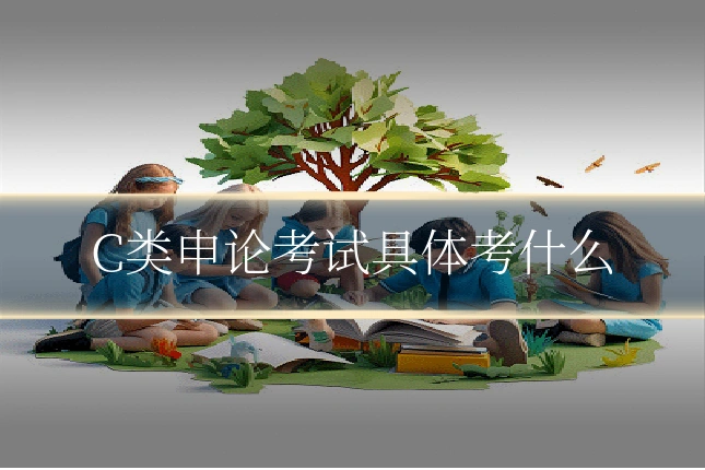 C类申论考试具体考什么