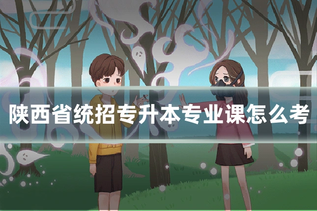 陕西省统招专升本专业课怎么考