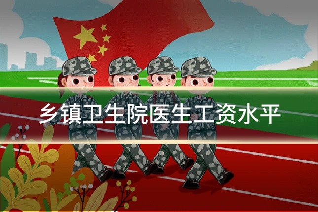 乡镇卫生院医生工资水平