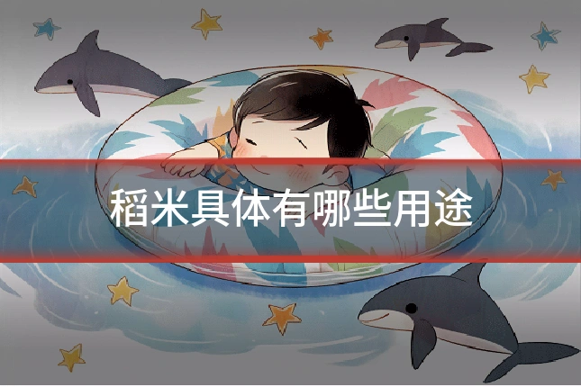 稻米具体有哪些用途