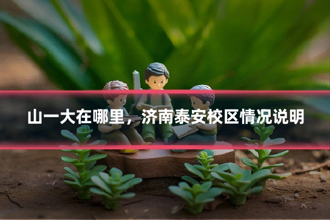 山一大在哪里，济南泰安校区情况说明
