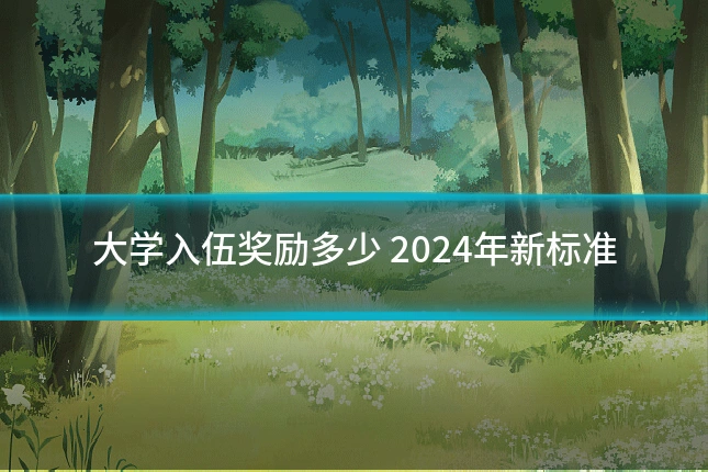 大学入伍奖励多少 2024年新标准