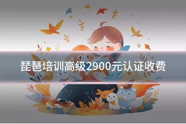 琵琶培训高级2900元认证收费