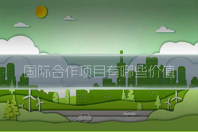 国际合作项目有哪些价值