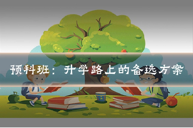 预科班：升学路上的备选方案