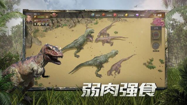 开服冲刺