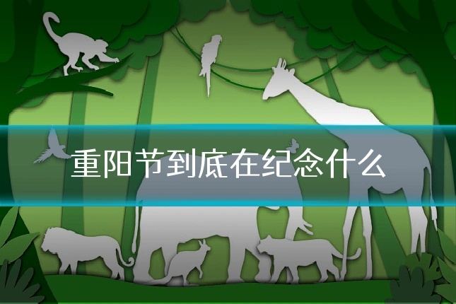 重阳节到底在纪念什么
