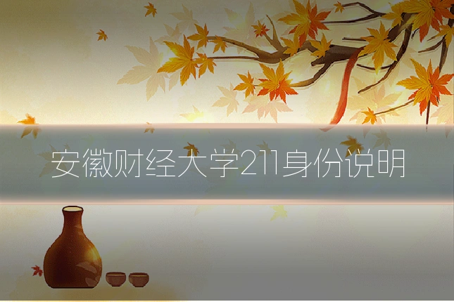 安徽财经大学211身份说明