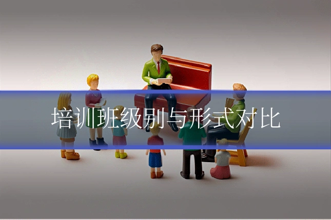 培训班级别与形式对比