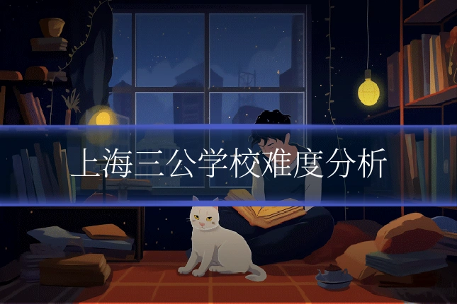 上海三公学校难度分析