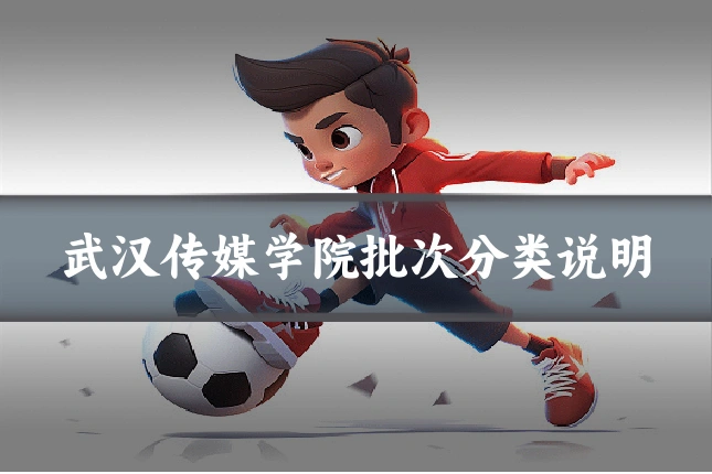 武汉传媒学院批次分类说明