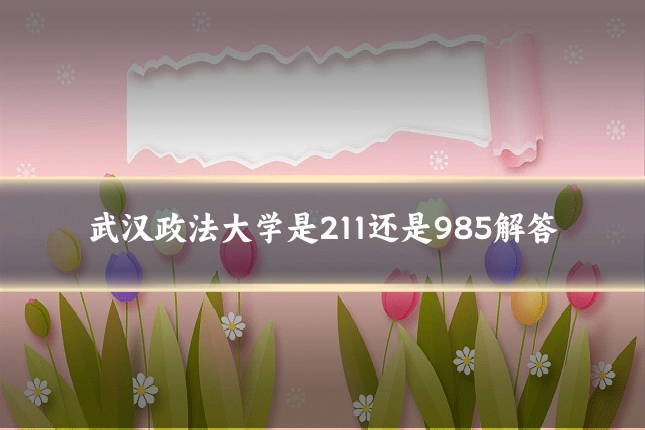 武汉政法大学是211还是985解答