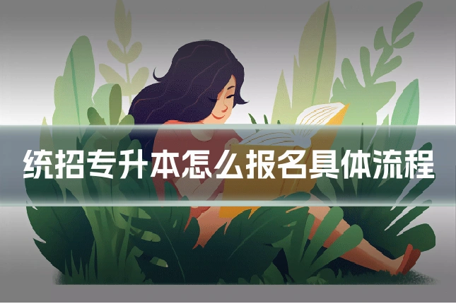统招专升本怎么报名具体流程