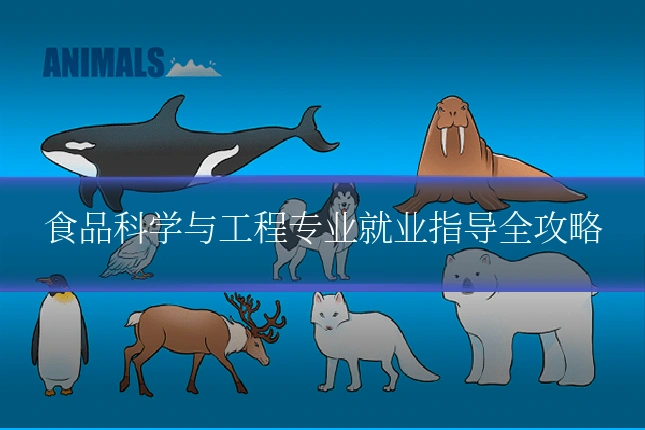 食品科学与工程专业就业指导全攻略