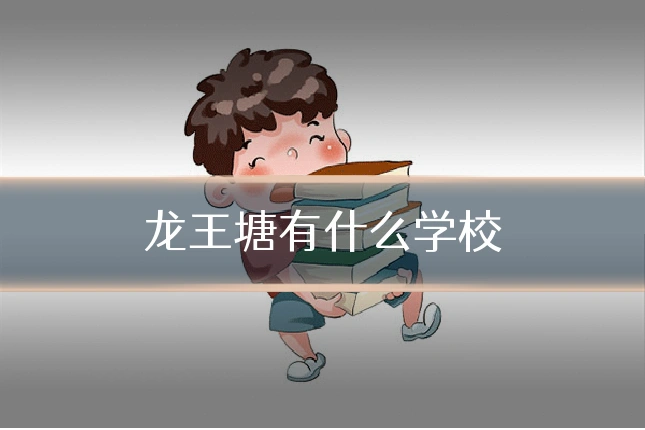 龙王塘有什么学校
