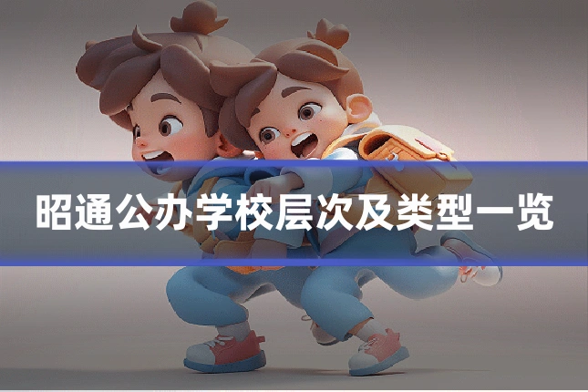 昭通公办学校层次及类型一览