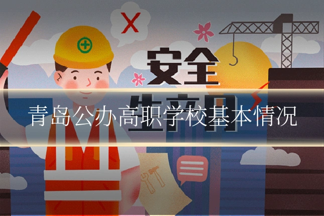 青岛公办高职学校基本情况