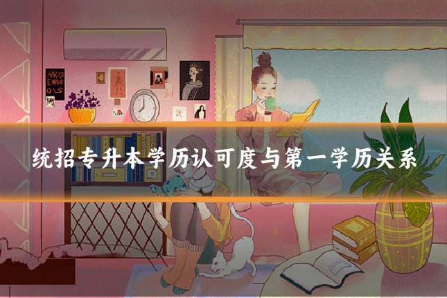 统招专升本学历认可度与第一学历关系