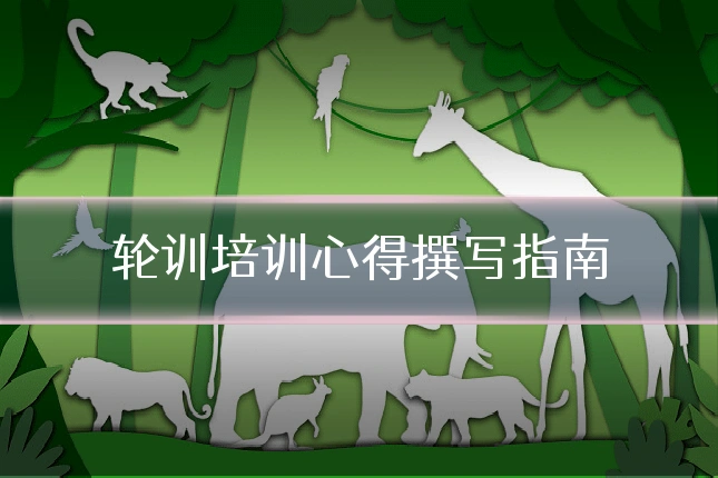 轮训培训心得撰写指南