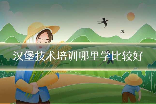 汉堡技术培训哪里学比较好