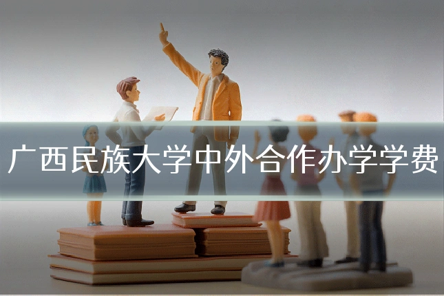 广西民族大学中外合作办学学费