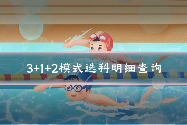 3+1+2模式选科明细查询