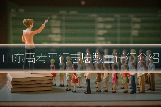 山东高考平行志愿数量详细介绍