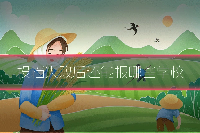 投档失败后还能报哪些学校