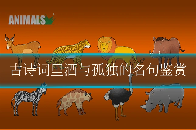 古诗词里酒与孤独的名句鉴赏
