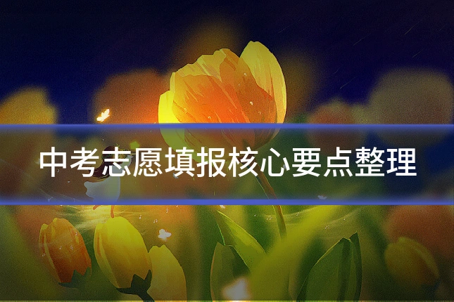 中考志愿填报核心要点整理