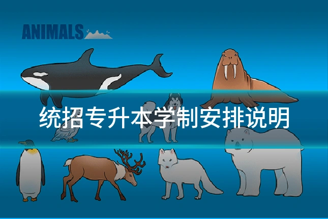 统招专升本学制安排说明