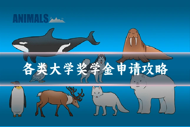 各类大学奖学金申请攻略