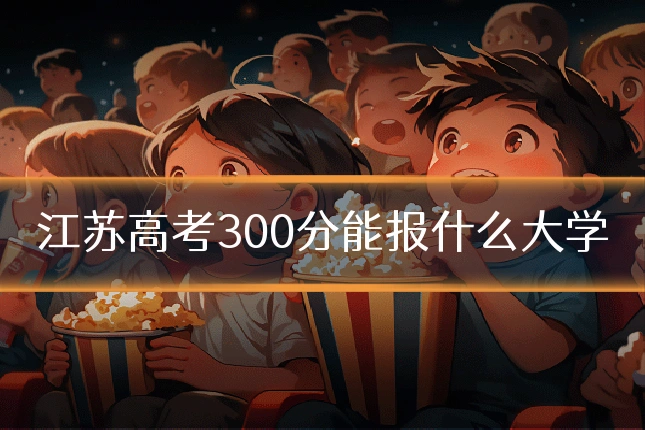 江苏高考300分能报什么大学