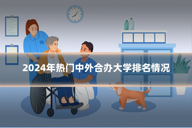 2024年热门中外合办大学排名情况