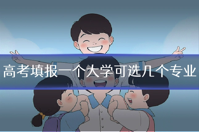 高考填报一个大学可选几个专业