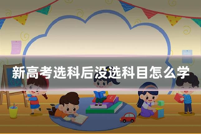 新高考选科后没选科目怎么学