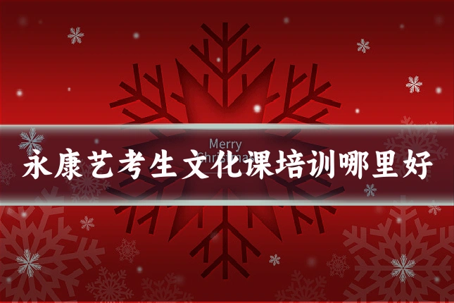 永康艺考生文化课培训哪里好