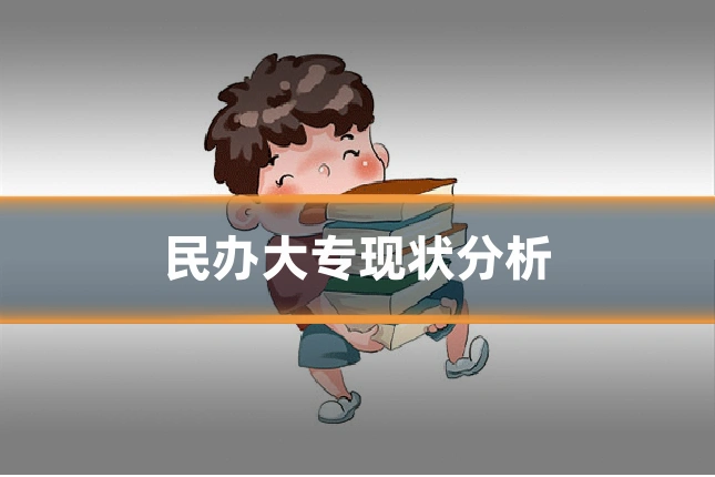 民办大专现状分析