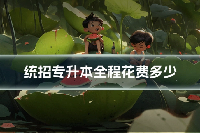 统招专升本全程花费多少