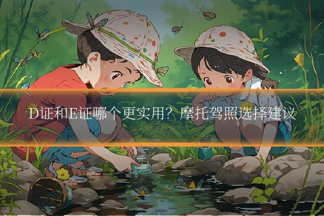 D证和E证哪个更实用？摩托驾照选择建议