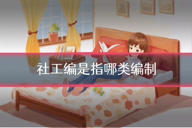 社工编是指哪类编制