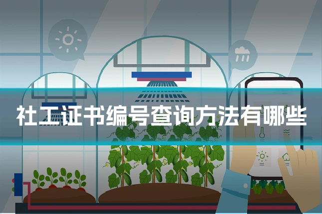 社工证书编号查询方法有哪些