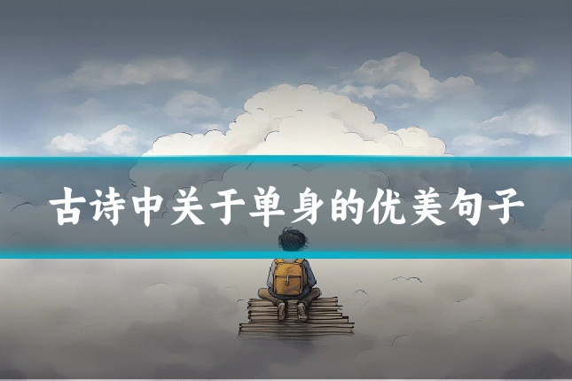 古诗中关于单身的优美句子