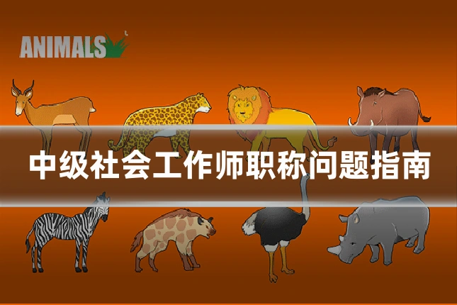 中级社会工作师职称问题指南