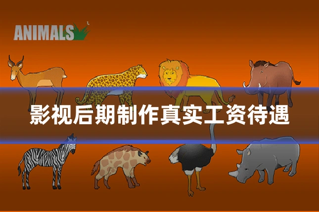 影视后期制作真实工资待遇