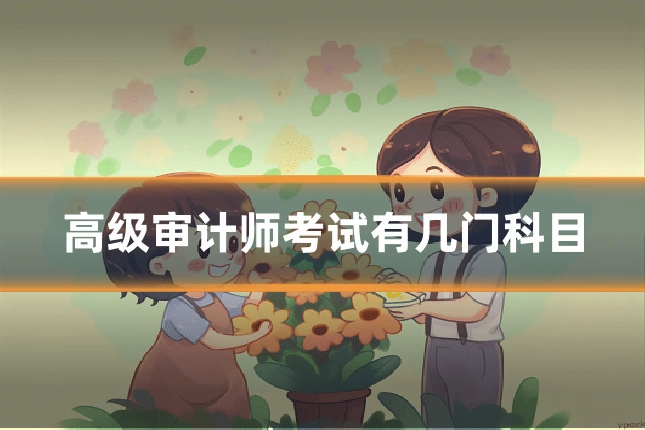 高级审计师考试有几门科目