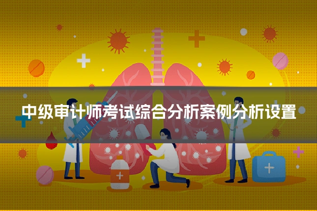 中级审计师考试综合分析案例分析设置